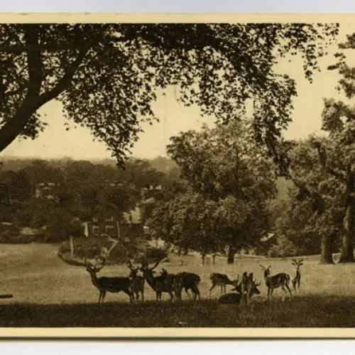 Lost buildings in Richmond Park: the Prime Minister’s school and a magnificent mansion